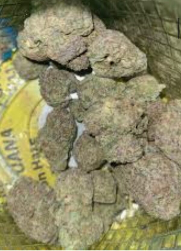 Gorilla Runtz